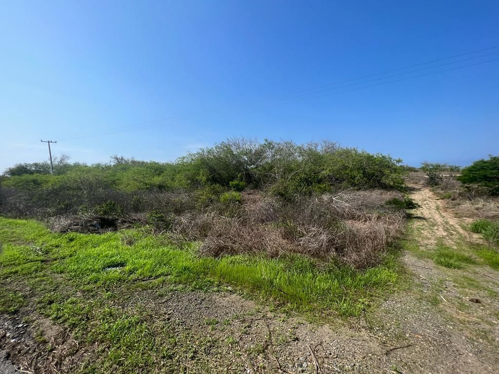 Lote Playa Cocos, photos 11