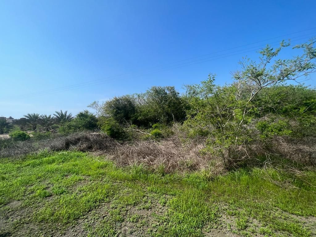 Lote Playa Cocos, photos 3