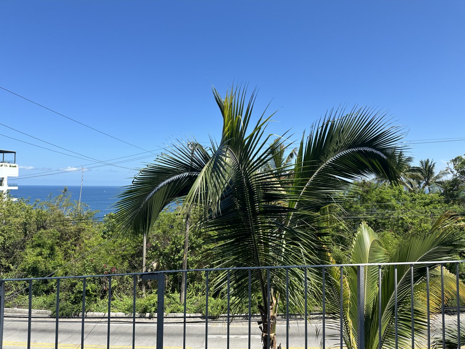 Los Pinos 2, photos 8